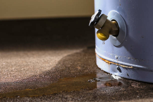 Best Sewage cleanup and water damage restoration  in Indian Harbour Beach, FL