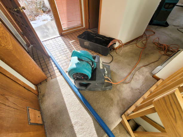 Best Local water damage restoration  in Indian Harbour Beach, FL