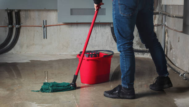  Indian Harbour Beach, FL Water damage restoration Pros