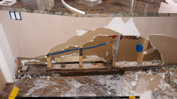 Best Ceiling water damage repair  in Indian Harbour Beach, FL