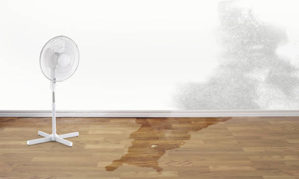 Best 24-hour water damage restoration  in Indian Harbour Beach, FL